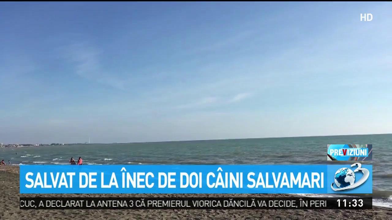 Copilul unor români din Italia, salvat de la înec de doi câini salvamari! Băiatul, în vârstă de șapte ani, intrase în apă cu bunicul lui