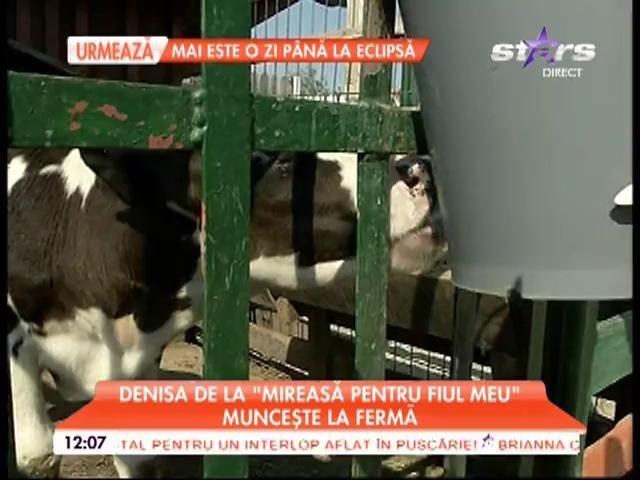 Denisa de la ”Mireasă pentru fiul meu” a plecat la fermă, la muncă. Să-i fi cucerit vreun băiat de la sat inima divei?