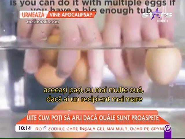 Cum știi că oul e vechi sau proaspăt? Acesta este singurul mod prin care poți afla! (VIDEO)