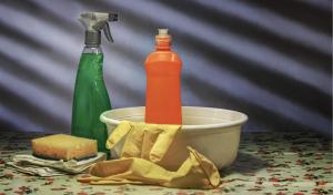 5 motive pentru a folosi detergenții ecologici în propria locuință. Ce impact au substanțele nocive asupra sănătății