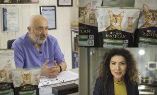 Cum se modifică nutriția pisicilor după sterilizare și ce produse ar fi bine să le dăm pentru a evita problemele de greutate