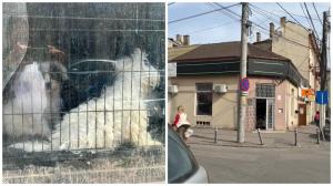 Magazinul din Constanța care vinde animale în condiții de groază, dar poliția nu intervine: „Sesizări multe fară niciun rezultat”