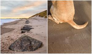 Un bărbat a făcut o descoperire neașteptată, chiar în timp ce își plimba câinele pe plajă. Omul a dat peste o adevărată „comoară”