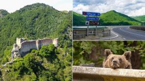 „Safari cu urși lângă Cetatea Poenari” Cât costă experiența promovată de agențiile de turism. Străinii se înghesuie să participe