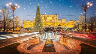 Târguri de Crăciun în București. Unde se deschid și unde va putea fi văzut cel mai mare brad ecologic din România