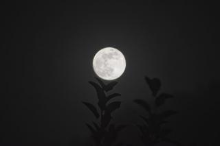 Ce este Beaver Supermoon, când se poate vedea în noiembrie și cum afectează fiecare zodie în parte