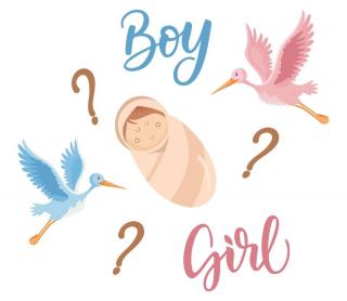 Cum și când poți afla cu certitudine sexul bebelușului