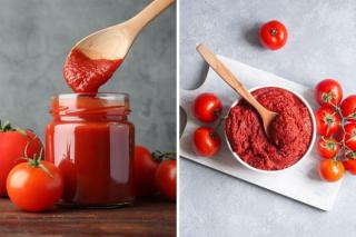 Diferența dintre bulion și pasta de tomate. Când și cum se folosește fiecare