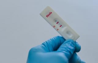Alertă privind epidemia de Ebola, după peste 4.900 de decese. Avertismentul unui oficial: virusul ar putea ajunge în Europa
