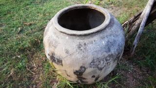 O femeie a vrut să vândă vasul vechi și murdar din curtea casei sale și s-a ales cu o avere frumoasă, de 32.000 de dolari