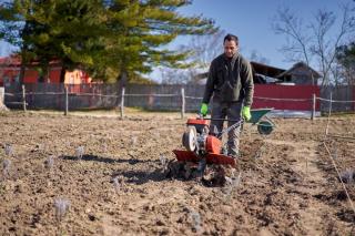 (P) Afânarea solului cu motocultorul: de ce este esențială pentru culturi