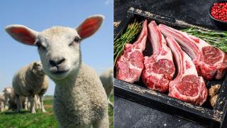 Cât costă carnea de miel înainte de Paște în 2026. Cu cât diferă prețurile față de anul 2025