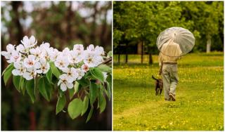 Cum va fi vremea până pe 8 iunie 2026! Prognoza meteo completă pentru București și toată țara pentru 12 mai-8 iunie 2026