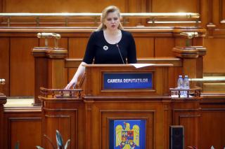 Roberta Anastase, reorientare profesională după cariera în politică. Cum arată acum fosta Miss România 1994