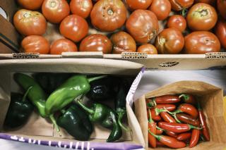 Cum arată cămara Ginei Bradea după pregătirile pentru iarnă. Ce are celebra bucătăreasă pe rafturi: „Consumăm aproape tot”