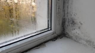 Când trebuie să închizi geamurile toamna. Greșeala care poate favoriza apariția mucegaiului în casă