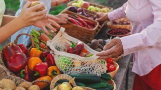 Ce fructe și legume sunt în sezon la sfârșitul lunii septembrie. Ce merită cumpărat acum din piață