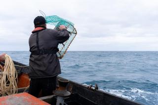 110.000 de euro pentru patru luni de muncă pe mare? Cât se poate câștiga, de fapt, la pescuit de crabi în Norvegia