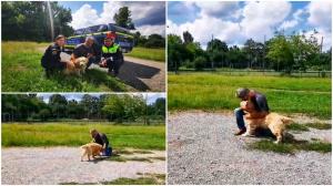 Un câine pierdut în 2022, găsit de pompierii din Caraş-Severin doi ani mai târziu. Momentul revederii dintre Dixie şi stăpânul său