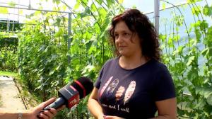 Investiţia de 3.000 de euro care a schimbat viaţa unei familii din Maramureş. Afacerea le aduce bani frumoşi