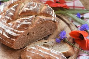 Ce este sourdough, “pâinea de bogați”, cum îi spune Dana Budeanu! Ce beneficii are și cum se poate face și acasă