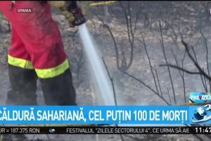 Căldură sahariană, cel puţin 100 de morţi, printre care un român. Cod violet de caniculă în Europa