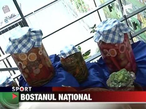 Bostanul national