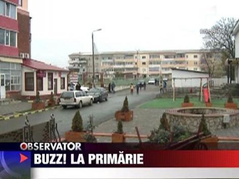 Buzz la primarie