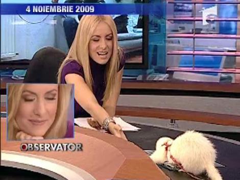 Simona Gherghe, ultimul "Observator de zi"