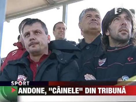 Andone, cainele din tribuna