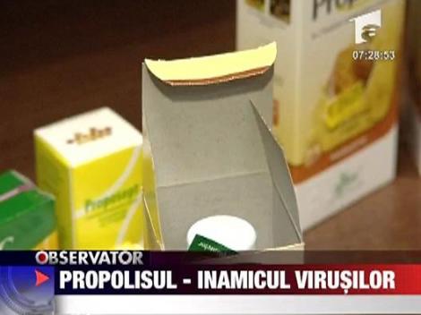 Propolisul - inamicul virusilor