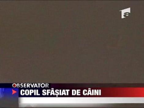 Copil sfasiat de caini