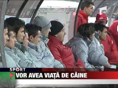 Vor avea viata de caine