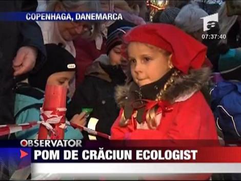 Pom de craciun ecologist