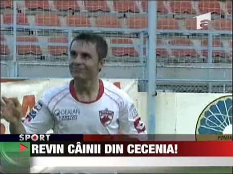 Revin cainii din Cecenia!