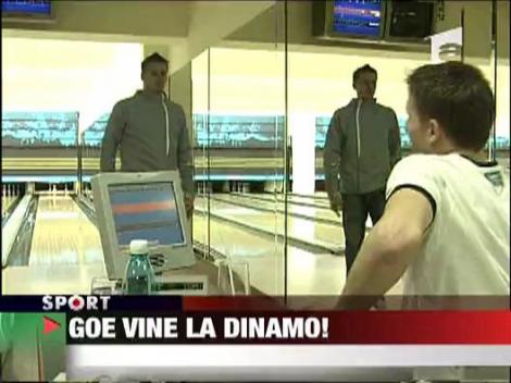 Goe vine la Dinamo!