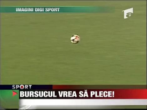 Bursucul vrea sa plece