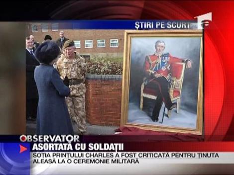 Asortata cu soldatii