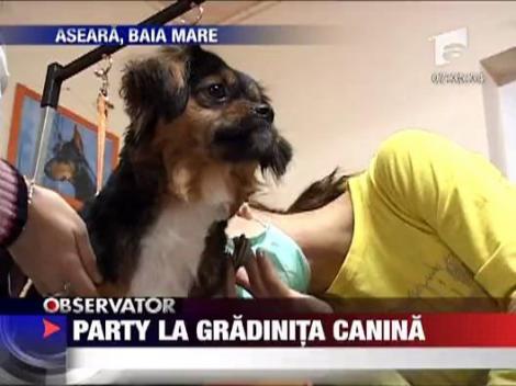 Party la gradinita canina