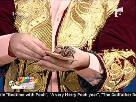 Daniela, cu tarantula, Puberu, la distanta