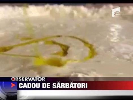 Cadou de sarbatori