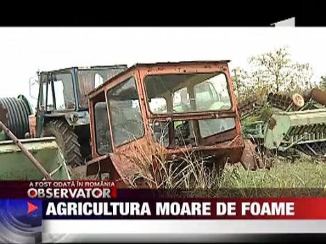 Agricultura moare de foame