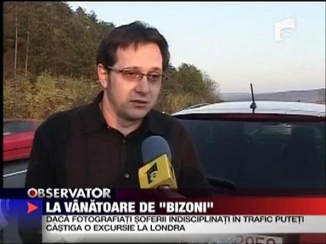 La vanatoare de "bizoni"