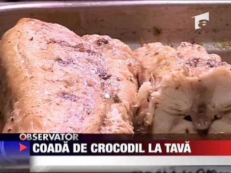 Coada de crocodil la tava