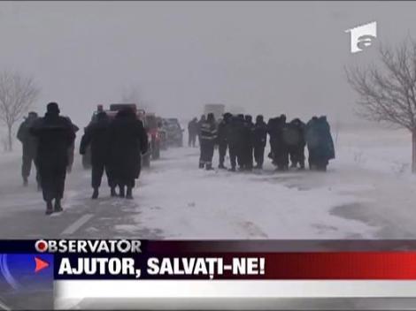 Ajutor, salvati-ne!