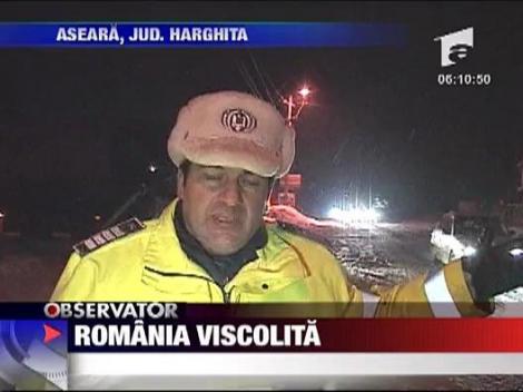 Romania viscolita