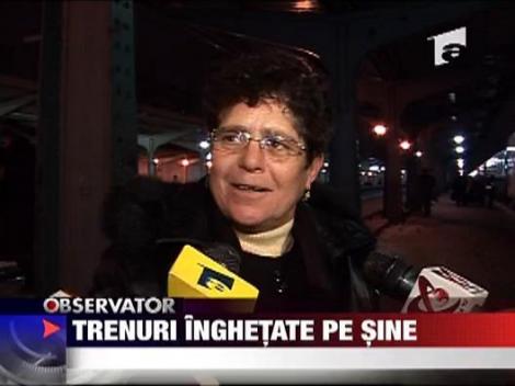 Trenuri inghetate pe sine