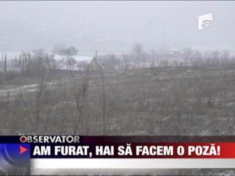 Am furat, hai sa facem o poza!