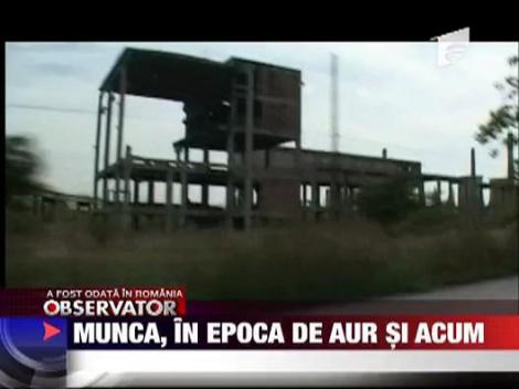 Munca, in epoca de aur si acum