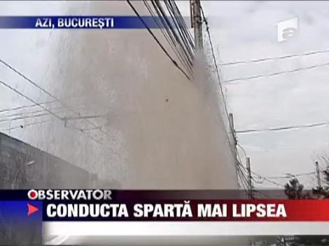 Conducta sparta mai lipsea